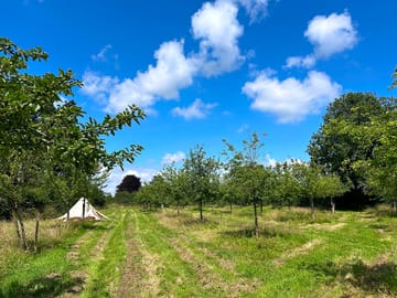 The bell tent