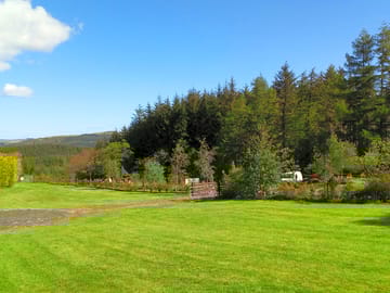View towards the forest
