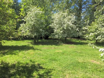 Orchard pitches