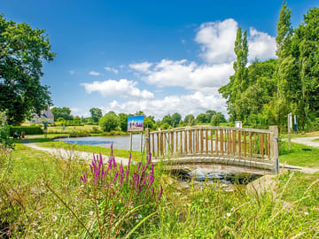 View of the pond