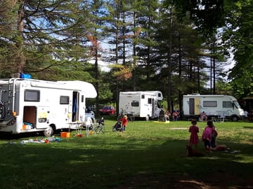 Motorhome pitches among the trees