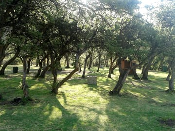 Pitch fields