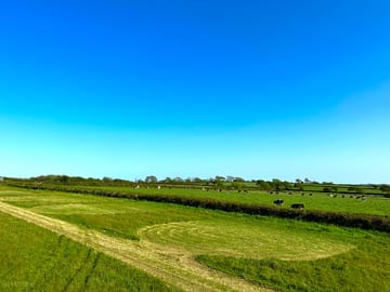 Grass pitches