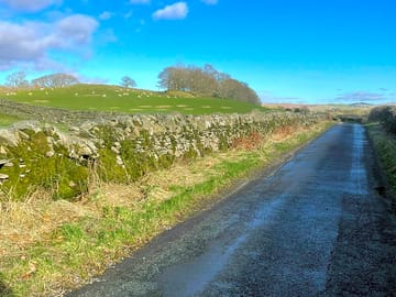 Site entrance road