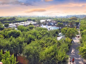 Aerial shot of the leafy site