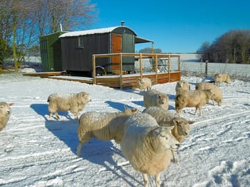 The site in winter