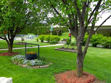 The pavillon and garden