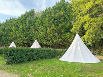 Tipis