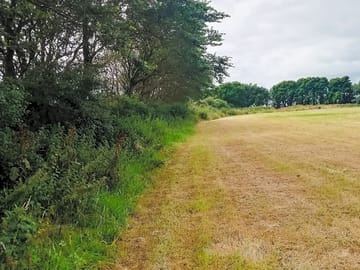 Hedges surrounding the pitches