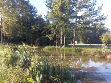 Small duck pond near the entrance