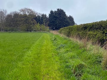 Grass pitches
