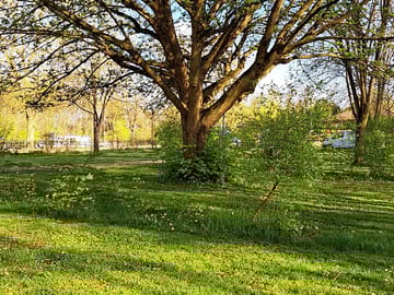 Shaded pitches
