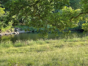 Pitches by the water