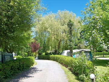 Main path