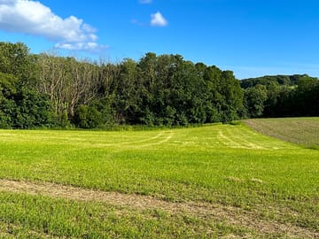 Grassy pitches