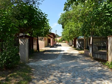 Main avenue