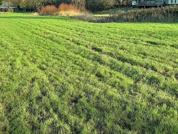 Grass pitches