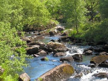 View near top falls walk