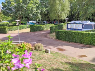 Pitches on site
