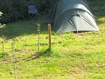 Guests on site