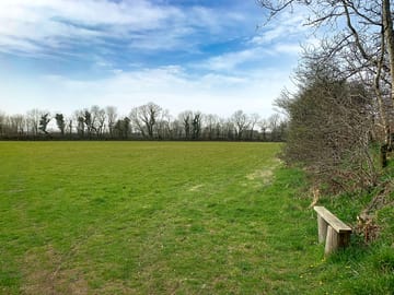 Gander neck