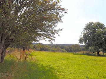 Well-kept pitches