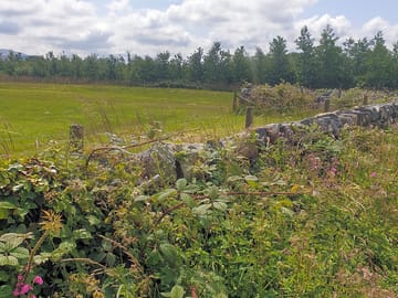 View over the site