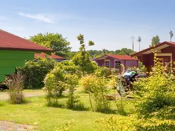 Cabins