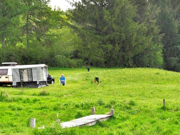 Visitor enjoying the peace, tranquility and bird song in the park