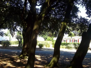 Pitches in shade