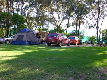 Shaded pitches under the trees