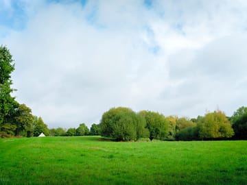 View of the site