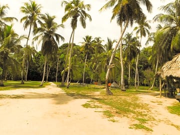 Camping area