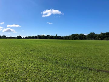 View across the site when empty