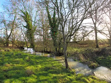 Brook running by the site