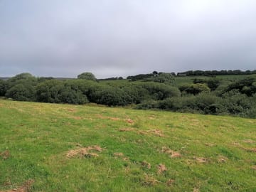 Camping pitches