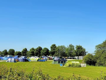 A view across the site