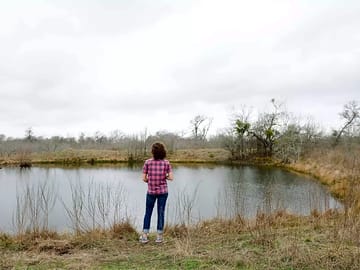 The pond