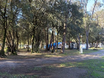 The site