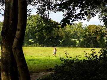 Peaceful walks