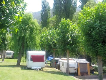 Under trees