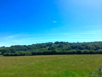 156 acres to enjoy