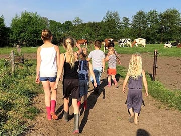 Explore the farm