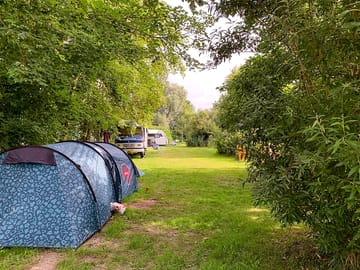 Grassy pitches with trees for shade