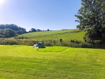 Grassy pitches