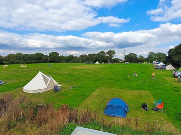 The site