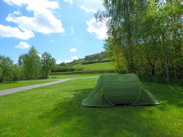 The meadow
