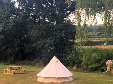 Spacious grass pitch suitable for tent or motorhome