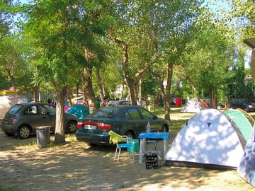 Pitches surrounded by trees