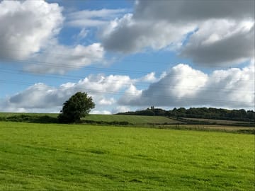 Views over fields